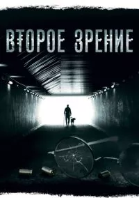 Второе зрение (2017)